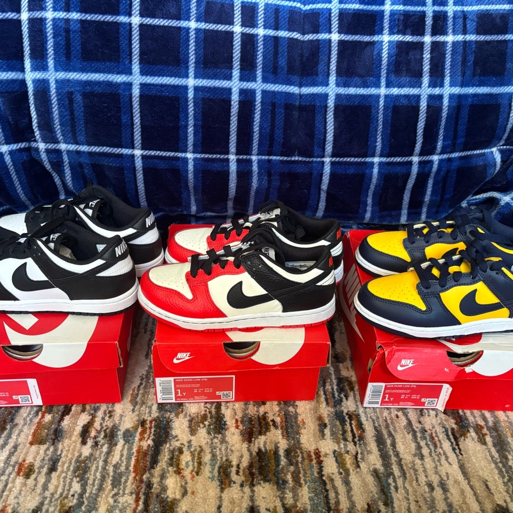Nike Dunk Bundle